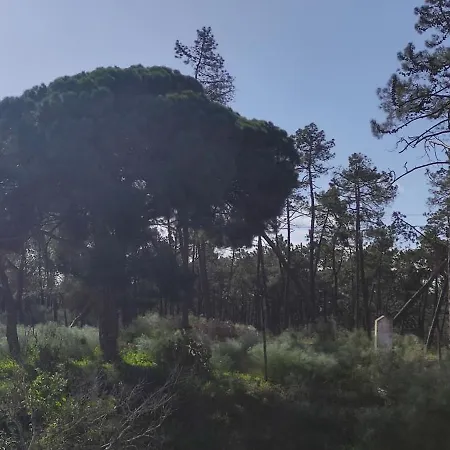 Hébergement de vacances Casa Do Poço Vila Real de Santo António